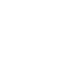 Visa Finalist
